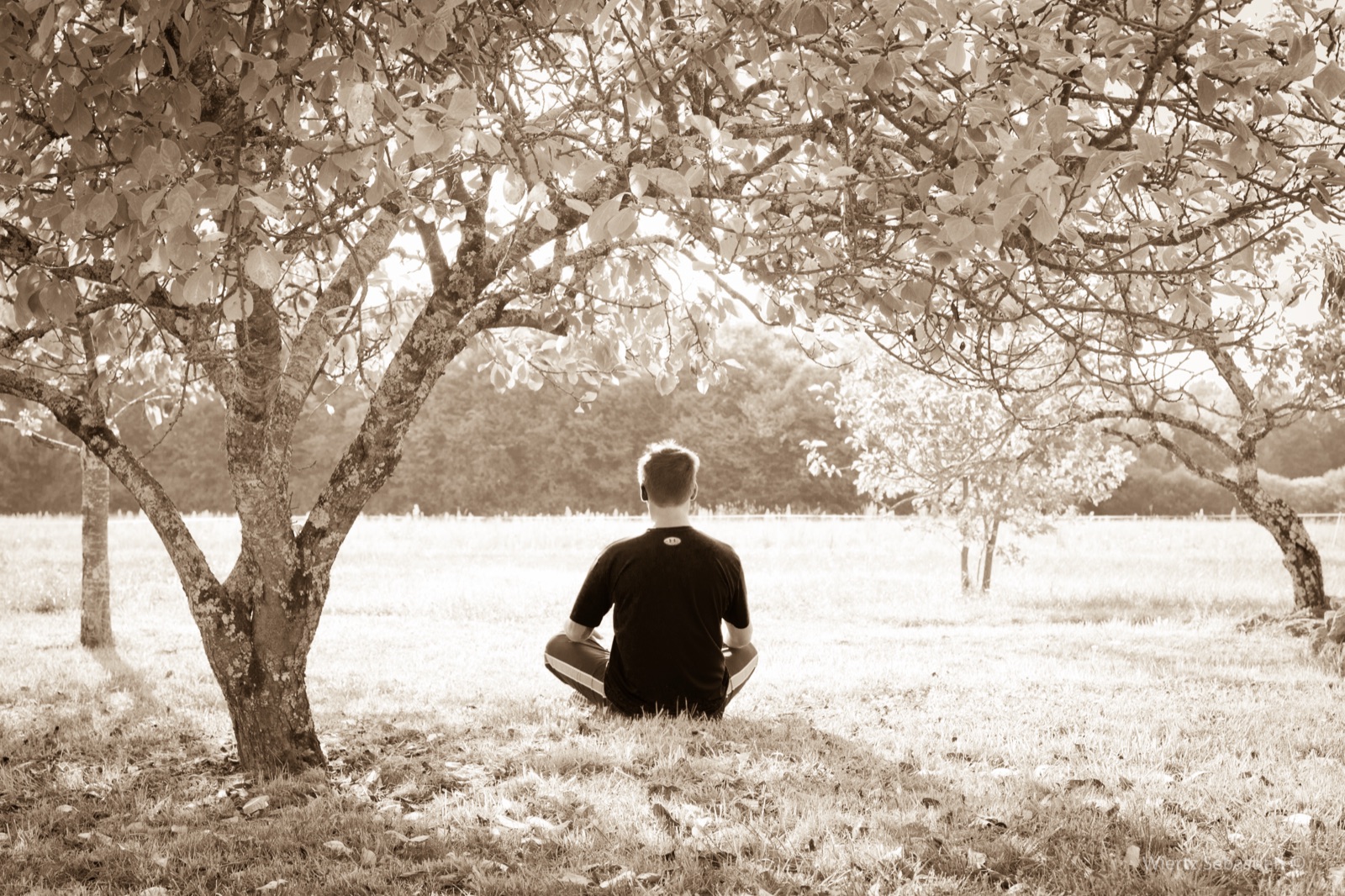 Mann in einer ruhigen, kräftigenden Yoga-Haltung